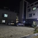 씅난돼지