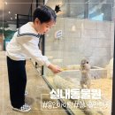 와우쥬경기도지사 | 용인 아이랑 가기 좋은 실내 동물원 수달앤쥬
