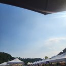 고령 멜빙축제 다녀온 후기