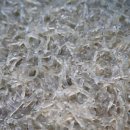 팔딱팔딱 이미지