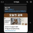 바이털독