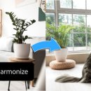 사진과포토샵 이미지