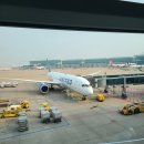 녹두로R | [중미/멕시코] D+1,2 🇲🇽🌮 타코 하나 바라보고 떠나는 멕시코 여행기