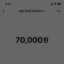 양포문어 이미지