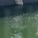 [아티스토리]자격증-선물포장 | 인생이 레이스라면 저는 잠깐 산책 중입니다