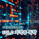 [HD] SQL개발자(SQLD) 자격증 따기 Part.5 SQL 최적화의 원리 | 2025 SQLD 시험일정 및 제55회 자격증 독학 합격 공부 방법