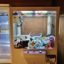 남양인형뽑기 이미지