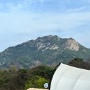 합천호농협 | 경남 합천글램핑, 더글래드 글램핑 추천(스위스 뺨쳤던 여행)