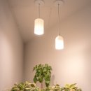 수앤수안마원 이미지