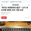 고기드림 이미지