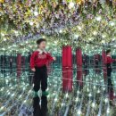 고양이당 | 스타필드 고양 레고 크리스마스 팝업 다녀온 후기