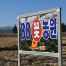 88화원 이미지