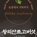 선표고농원