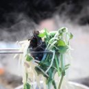 진량 티스토리