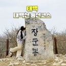 상고대전망대 | 태백산 등산코스 겨울 등산 천제단 단종비각 여행 후기