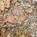 683 | [펜드로잉 산행후기] 운무랑 우박 맞으며 예봉산 683m 다녀오니 아쉬워서