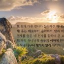 Iam(아이엠) 이미지