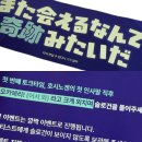 나무와 해(海) | 2026 약속 호시노 겐 내한 콘서트 후기