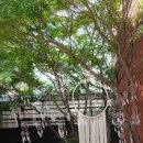 ABC행복학습타운 이미지