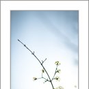산본중앙공원 이미지
