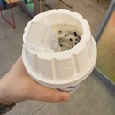 씨제이올리브영(주)대구연경점 | [2025/일상] 6월 올해 반년 이대로 뚝딱,참 쉽죠잉