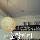호랑티티 이미지