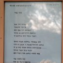 가을 강둑시화 이미지