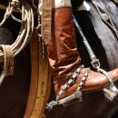 Sweet spot 이미지