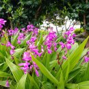 순례농장 이미지