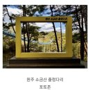 제 1,006회차 소금산 산행 안내 이미지