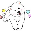 전국24시출장빵구대형화물타이어