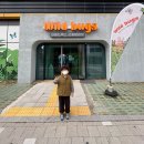 벅스 | 월미도 실내박물관 찾는다면? 인천 곤충체험 최고였던 와일드벅스 후기