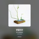하가 (HAGA) - 양철인간 이미지