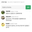 [고양이 입양] 포인핸드 입양 후기 : 사지 않고 입양한 페르시안 도도 입양 6개월차