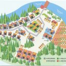 캠프우든브릿지 이미지