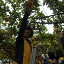 성제농장 이미지