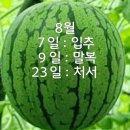 8월 입추 말복 처서 이미지