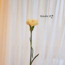 혜인즈블라썸플로리스트화훼학원