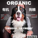 [iNI for Pets] 많은관심 정말 감사합니다! ^^ 이미지