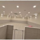 리본반려견 유치원 이미지