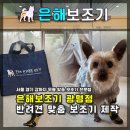 부산보조기 | 서울경기강아지무릎맞춤보조기 전문점 추천 [은해펫서울경기지점]