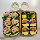 강남역 다이어트 김밥 맛집 오늘의 초록김밥