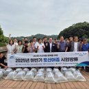토산