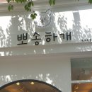 뽀송하개 애견미용 이미지