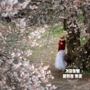 용원정 화장실 이미지