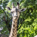 에버마루 이미지