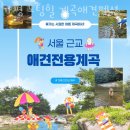 가평노팅힐계곡애견펜션 | 경기도계곡펜션 가평 노팅힐 계곡애견펜션 서울근교계곡 으로 무더위 피해 떠나요!