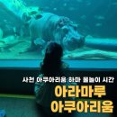 아라마루펜션 | 사천 아라마루 아쿠아리움 하마 시간 입장료 할인