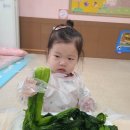 ❤️별하반❤️ 갓물김치 담그기 💚 이미지