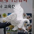 리오그릴 이미지